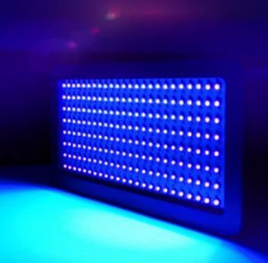 Customized UV LED Curing